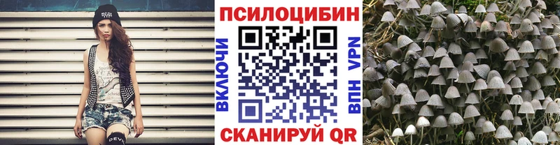 Галлюциногенные грибы Cubensis  Череповец 